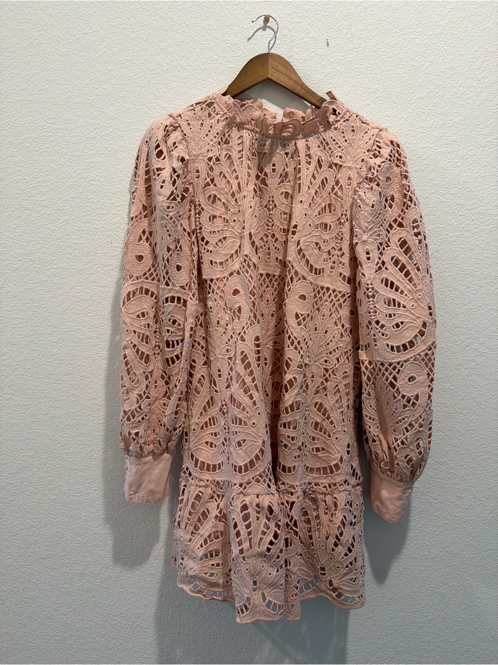 Karlie delicate lace eyelet long sleeve mini dress blush pink